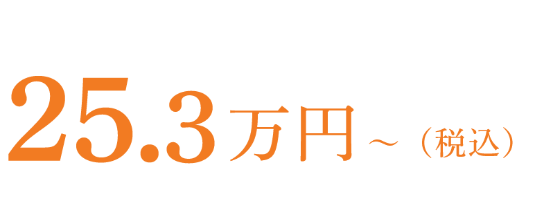 25.3万円